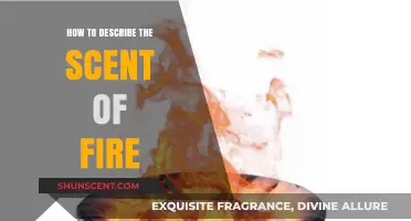 Capturing the Aroma of Fire: A Guide to Describing Its Unique Scent