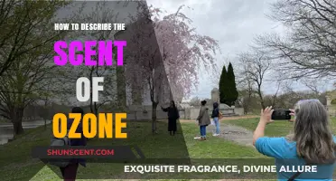 Capturing the Crisp, Electric Aroma: How to Describe Ozone's Scent