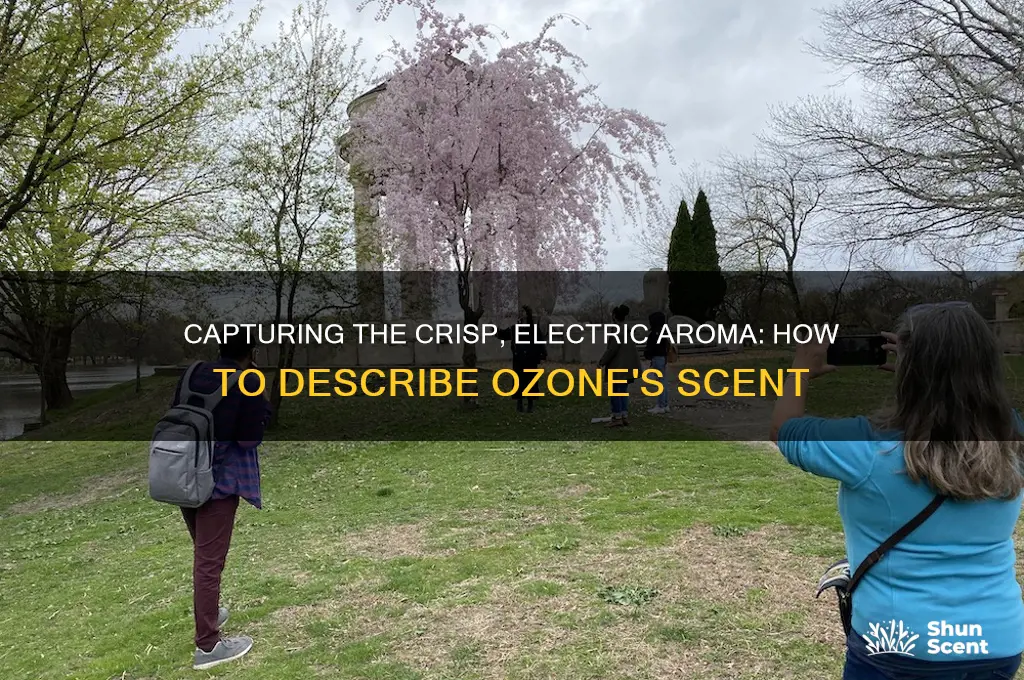 how to describe the scent of ozone