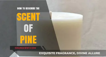 Capturing the Crisp, Woody, and Refreshing Aroma of Pine Scents