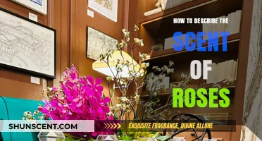 Capturing the Essence: Articulating the Complex Scent of Roses