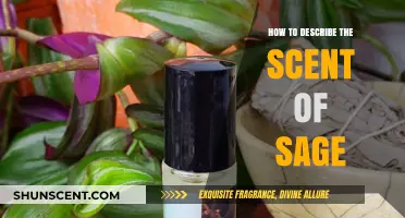 Capturing the Earthy, Herbal Essence: How to Describe Sage's Scent