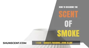 Capturing the Aroma: Articulating the Complex Scent of Smoke