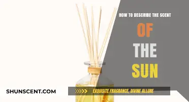 Capturing the Sun's Essence: Articulating Its Invisible, Warm Aroma