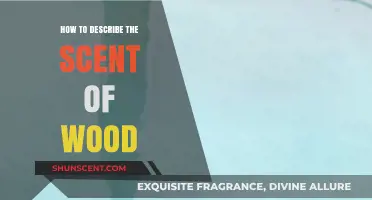 Capturing the Essence: Articulating the Rich, Earthy Aroma of Wood