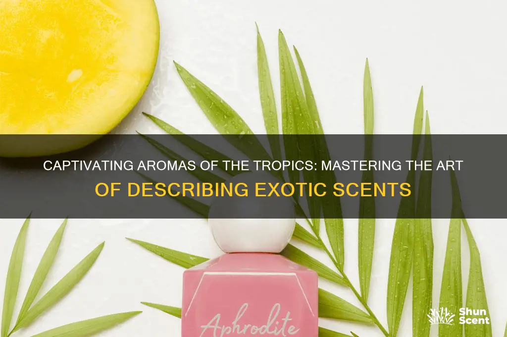 how to describe tropical scents