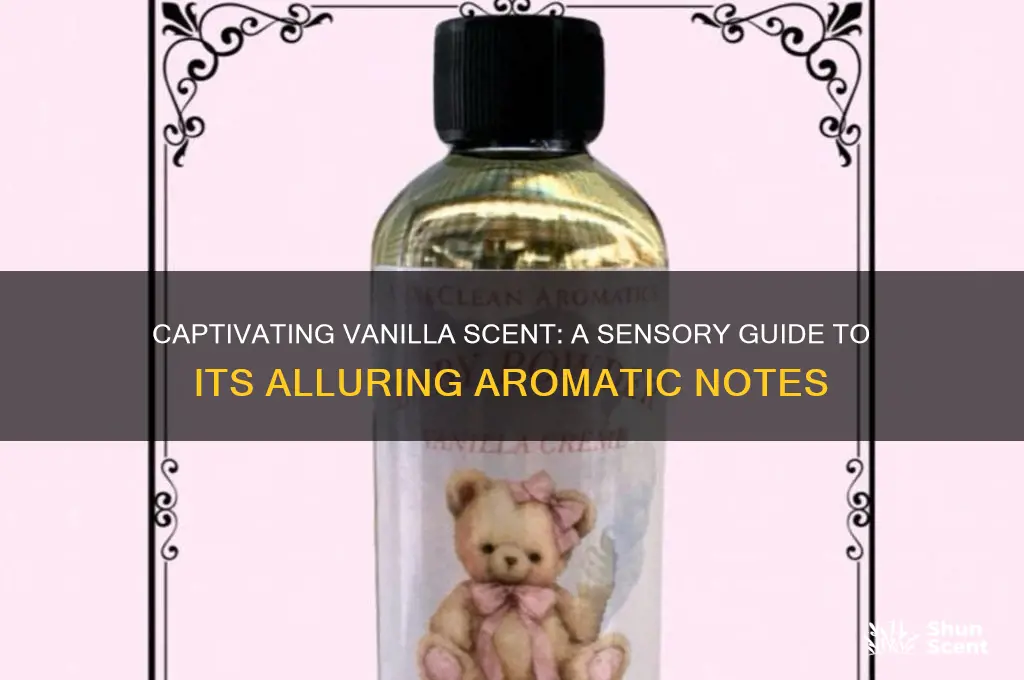 how to describe vanilla scent