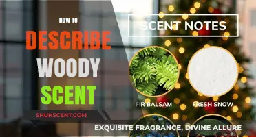Unveiling the Rich, Earthy Allure of Woody Scents: A Descriptive Guide
