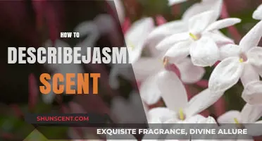 Captivating Jasmine Scent: A Guide to Describing Its Alluring Fragrance