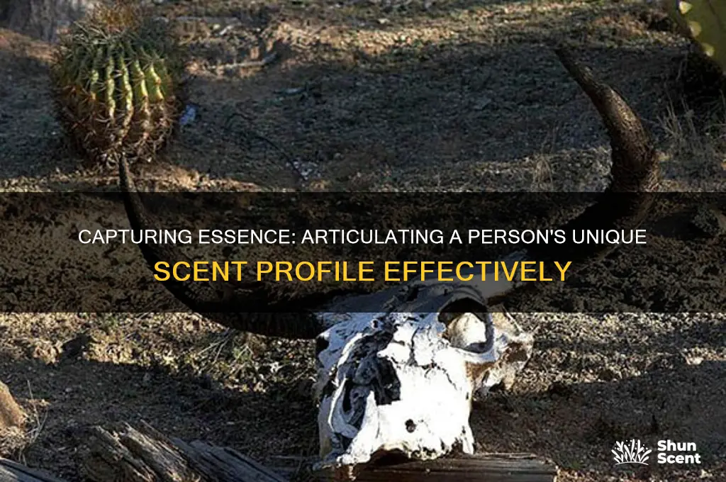 how to descrieb a person