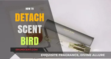 Mastering the Art of Detaching Scentbird: A Step-by-Step Guide