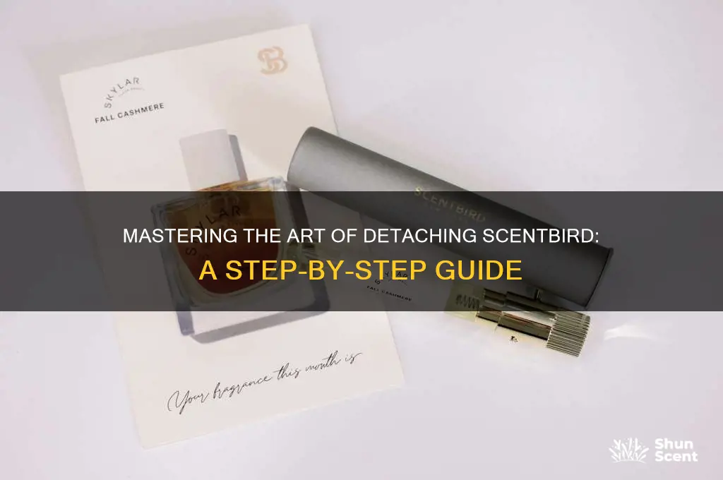 how to detach scent bird