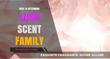 Unveiling Lush Scents: A Guide to Identifying Fragrance Families