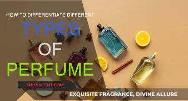 Perfume Types: How to Identify and Differentiate Scents