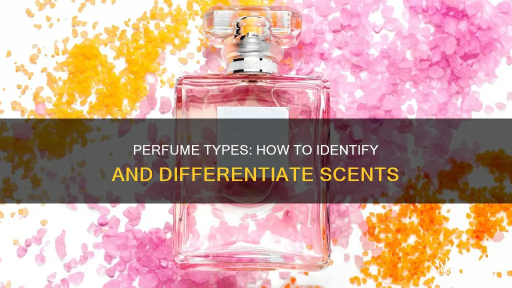how to differentiate different types of perfume