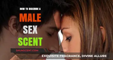 Unveiling the Masculine Essence: Articulating the Unique Male Sex Scent