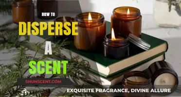 Effective Techniques to Disperse Scents for Lasting Aromatic Impressions