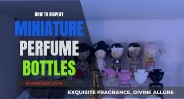 Creative Ways to Display Miniature Perfume Bottles