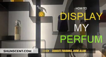 Displaying Scents: Creative Ways to Showcase Your Perfumes
