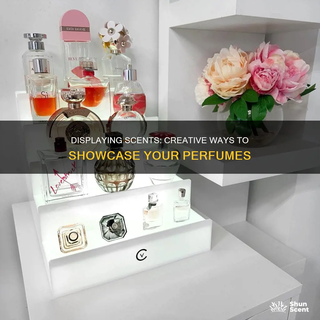 how to display my perfumes