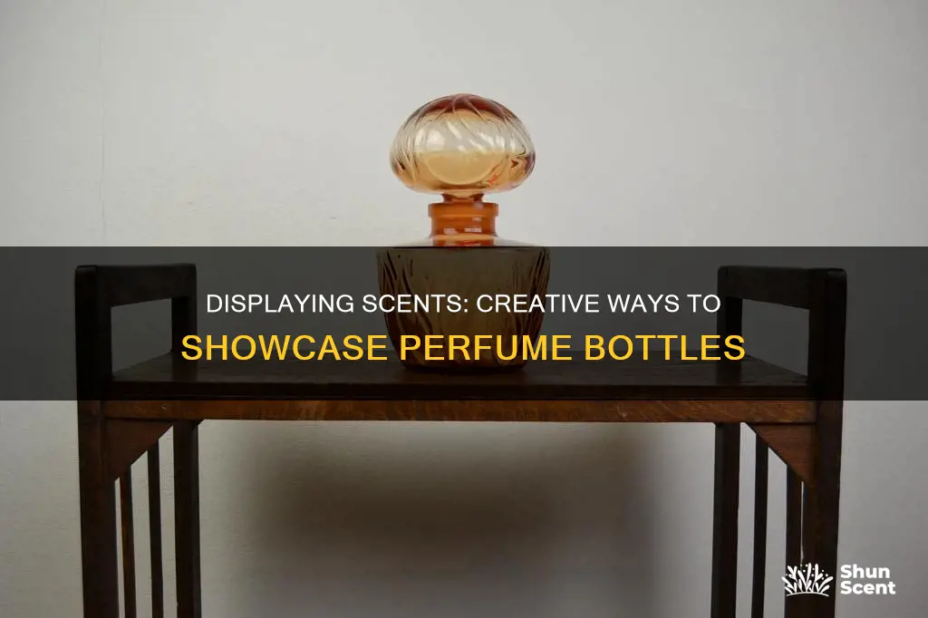 how to display perfume bottle collection