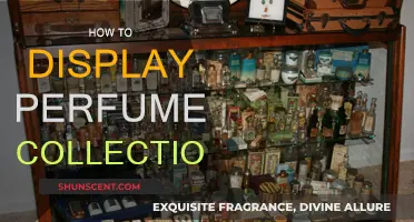 Displaying Scents: Creative Ways to Showcase Your Perfume Collection