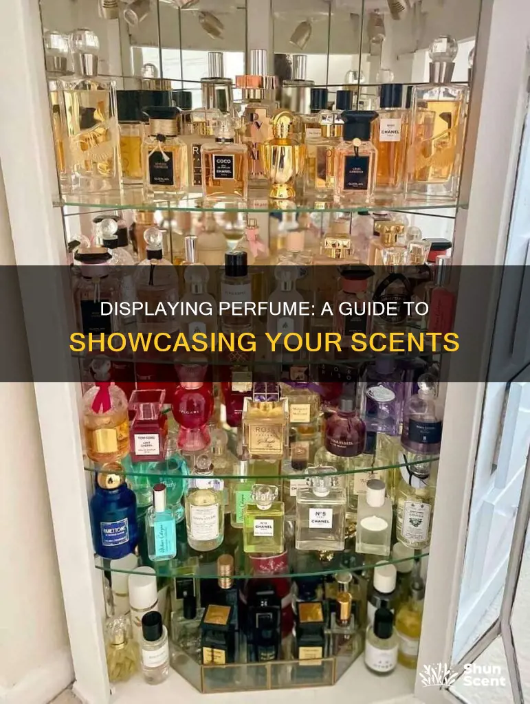 how to display perfume