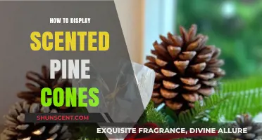 Creative Ways to Display Scented Pine Cones in Your Home Decor