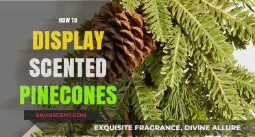 Creative Ways to Display Scented Pinecones in Your Home Decor