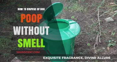 Eco-Friendly Ways to Dispose of Dog Poop Odor-Free