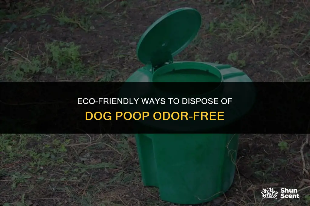how to dispose of dog poop without smell