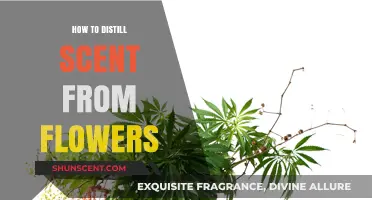 Mastering the Art of Extracting Floral Fragrances: A Step-by-Step Guide