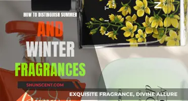 Mastering the Art of Scent: Distinguishing Summer and Winter Fragrances