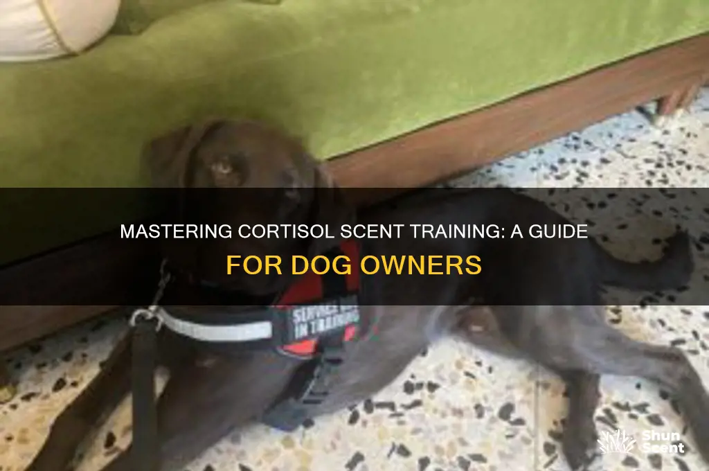 how to do cortisol scent training for dogs