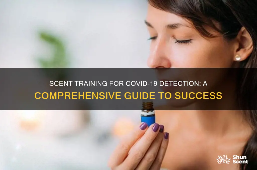 how to do scent training covid