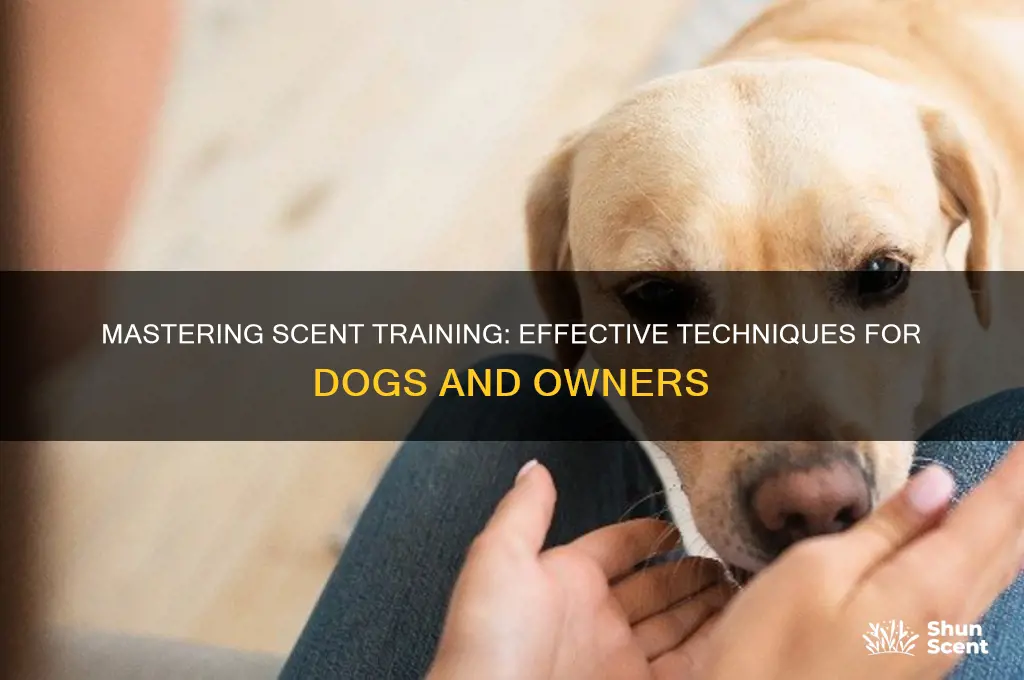 how to do scent training with dogs