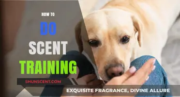Mastering Scent Training: Techniques to Enhance Your Dog's Olfactory Skills