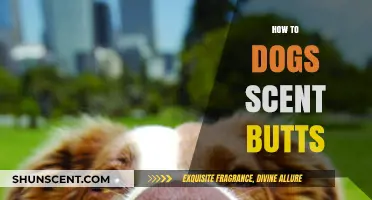 Why Dogs Sniff Each Other's Butts: Understanding Canine Scent Communication