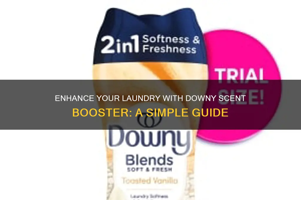 how to downy scent booster laundry