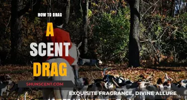 Mastering Scent Drag Techniques: A Step-by-Step Guide for Hunters