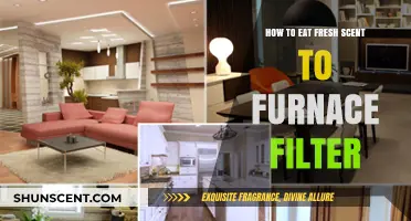 Fresh Scent to Furnace Filter: A Guide to Clean Air and Aromatic Living