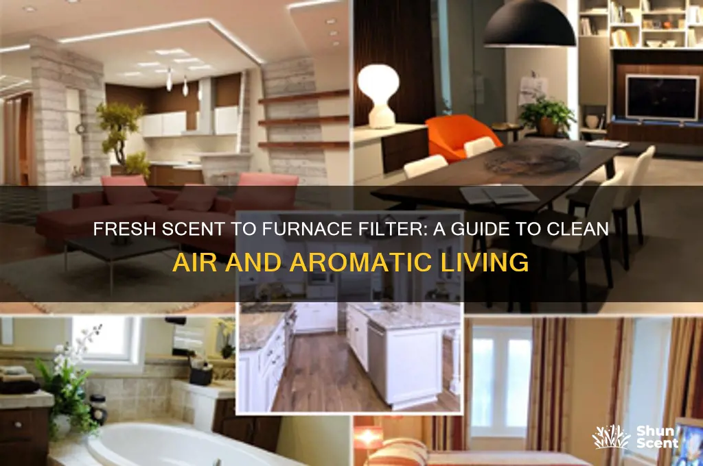 how to eat fresh scent to furnace filter