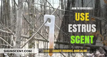Mastering Estrus Scent: Proven Techniques for Effective Hunting Success