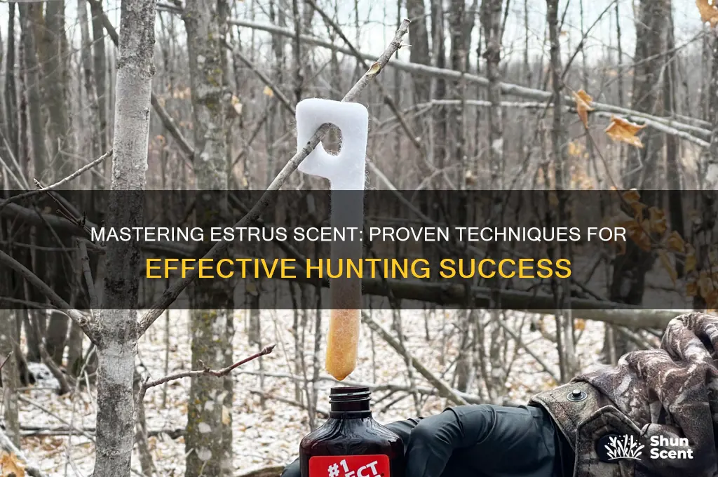 how to effectively use estrus scent