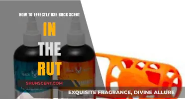 Mastering Buck Scent Strategies for Peak Rut Success