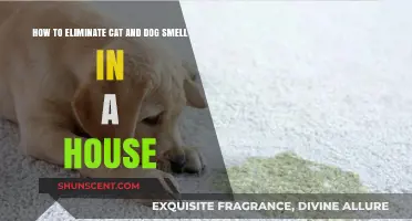 Freshen Up Your Home: A Guide to Eliminating Pet Odors