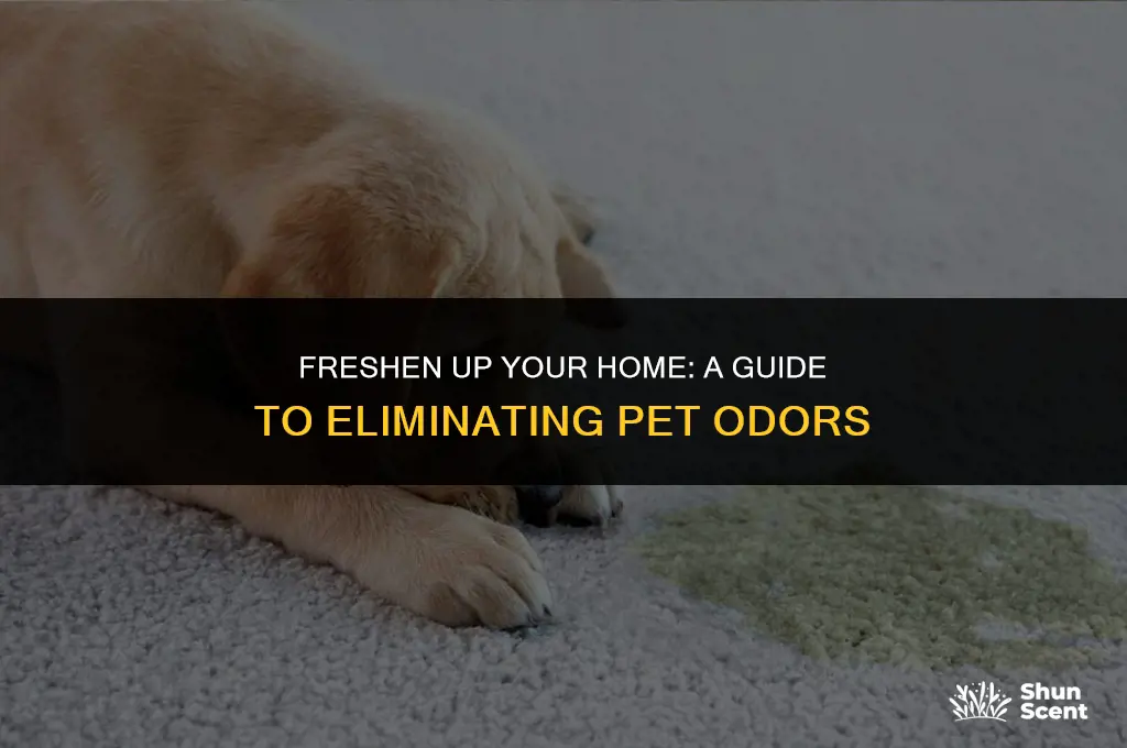 how to eliminate cat and dog smell in a house