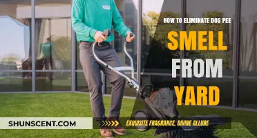 Freshen Up Your Yard: A Guide to Removing Dog Pee Odor