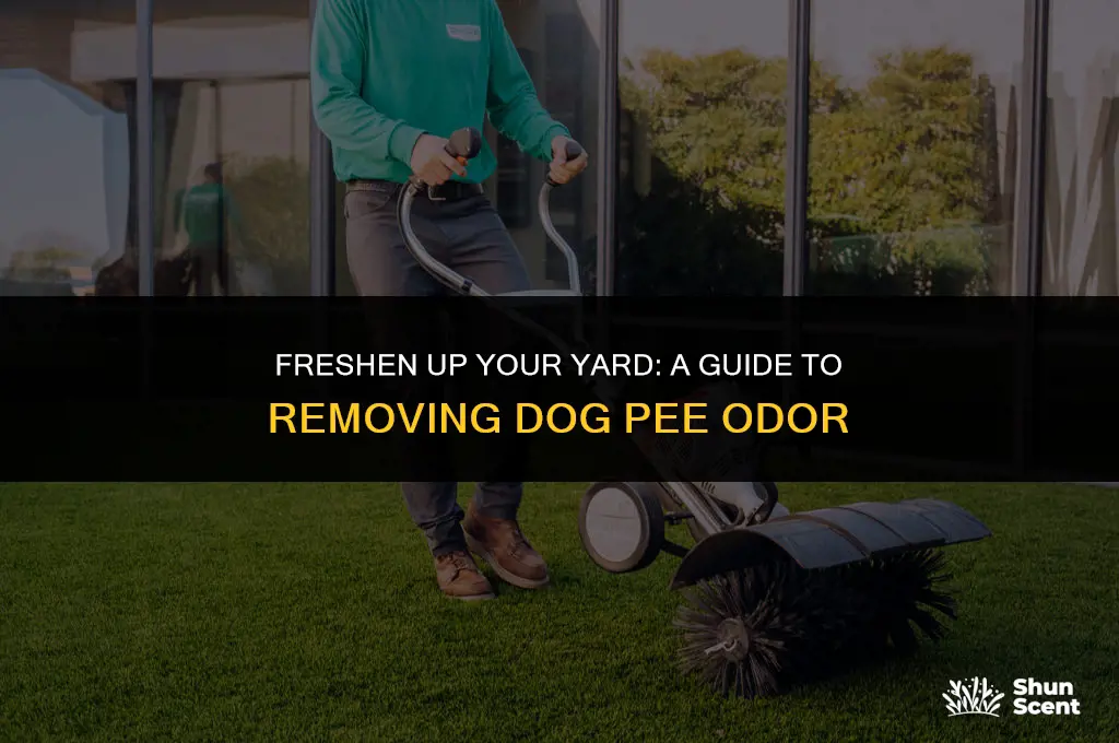 how to eliminate dog pee smell from yard