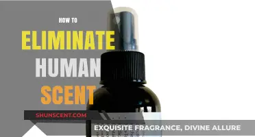 Mastering Stealth: Proven Techniques to Eliminate Human Scent Effectively
